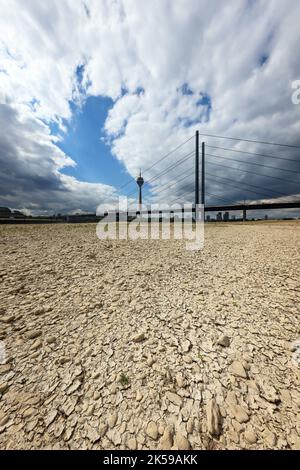 27.07.2022, Allemagne, Rhénanie-du-Nord-Westphalie, Düsseldorf - lit de rivière sec dans le Rhin en face du pont du Rhin et de la tour du Rhin. Après un long dro Banque D'Images