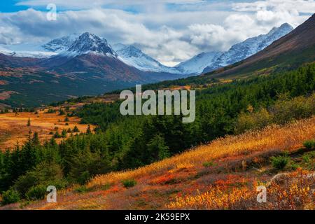 Automne en Alaska Banque D'Images