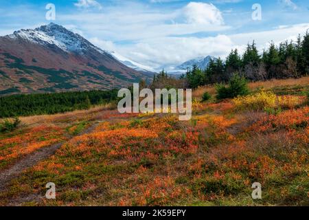 Automne en Alaska Banque D'Images