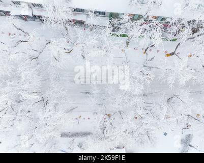 Scène de neige d'hiver dans la région panoramique du parc national de Lushan/Mountain lu 5A, ville de Jiujiang, province de Jiangxi Banque D'Images