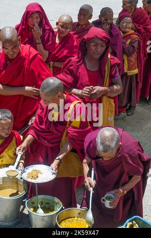 Les moines bouddhistes reçoivent de la nourriture lors des festivités accueillant leur chef spirituel, le Dalaï Lama exilé du Tibet, lors d'une visite de 2012 au Ladakh, en Inde Banque D'Images