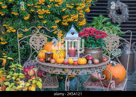 arrangement d'automne avec lanterne rustique, chtysanthemum rouge et citrouilles dans le jardin Banque D'Images