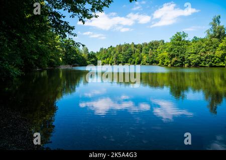 Allemagne, Stuttgart parc ville lac de Baerensee eau reflétant les arbres verts et paysage de la nature avec ciel bleu en été, parfait parc urbain de randonnée Banque D'Images