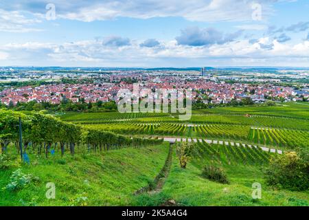 Allemagne, la ville de Fellbach maisons bâtiments tour belle vue panoramique sur la nature paysage vignobles en automne au coucher du soleil Banque D'Images