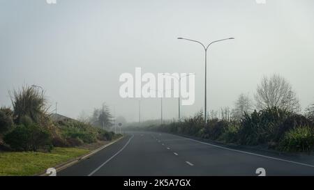 Bornes de feux et panneau de limite de vitesse 80km le long de la route dans le brouillard. Nouvelle-Zélande. Banque D'Images