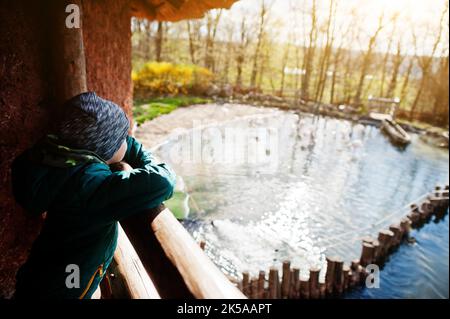 Garçon regardant un troupeau de flamants roses dans un étang au zoo. Banque D'Images