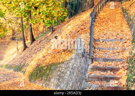 Allée déserte du parc et marches sur une pente de montagne couverte d'un tapis de feuilles jaunes tombées entourées de temples d'automne (attention sélective) Banque D'Images