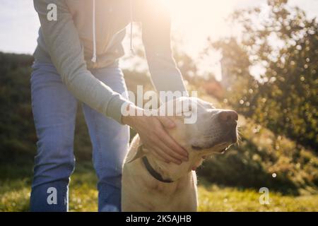 Homme qui a fait son vieux chien. Chien content appréciant la journée d'automne ensoleillée avec son propriétaire d'animal de compagnie. Banque D'Images