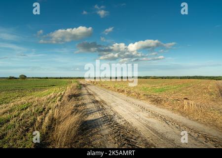 Route de la saleté entre les champs et les petits nuages dans le ciel Banque D'Images