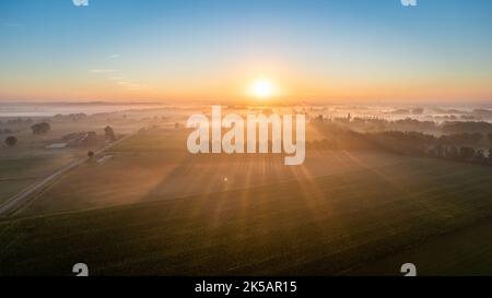 Spectaculaire Drone aérienne photo d'une belle plantation agricole verte et jaune bordant les forêts sauvages en Belgique, en Europe avec les rayons dorés du soleil créant une couverture magique sur les champs de ferme verts. Photo de haute qualité Banque D'Images