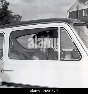 1964, historique, une vue à travers une fenêtre de voiture de la célèbre ballerine anglaise Margot Fonteyn conduite, peut-être, une Ford Anglia. Il est probable que la photo ait été prise près de l'hôpital Stoke Mandeville de Buckinghamshire, Angleterre, Royaume-Uni, où son mari, Roberto Arias, Un politisé pananien qui avait été grièvement blessé dans une tentative d'assassinat, était traité à son Centre national des lésions médullaires. Le 60s a vu Fontyen former un partenariat historique de danse avec le danseur classique russe Rudolf Nureyev. Banque D'Images