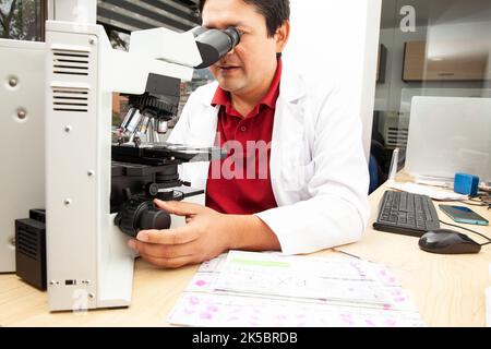 Pathologiste travaillant avec la biopsie de tissus colorés sur des lames de verre dans le laboratoire. Concept de diagnostic de cancer. Concept médical. Banque D'Images