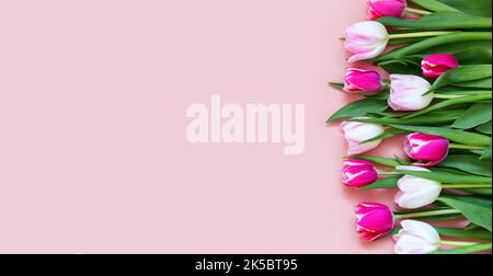 Magnifique bouquet romantique de tulipes roses, pourpres et blanches sur fond rose pâle. Fête des mères, fête de la Saint-Valentin, concept de célébration d'anniversaire avec Banque D'Images