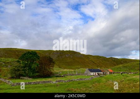 La ferme de DalNarrow, à l'extrémité sud de l'île de Lismore, Argyll et Bute, en Écosse Banque D'Images