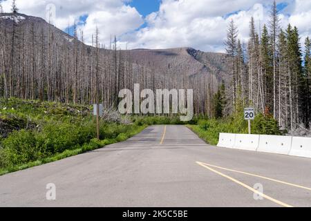 Route Akamina Parkway dans le parc national des Lacs-Waterton au Canada Banque D'Images