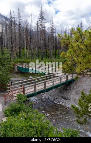 Red Rock Canyon dans le parc national des Lacs-Waterton Canada - pont menant aux sentiers de randonnée Banque D'Images