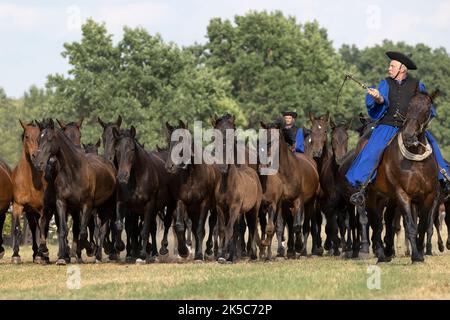 Csikos cowboys Hongrie Hortobagy Puzsta Europe tradition Banque D'Images