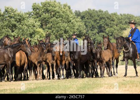 Csikos cowboys Hongrie Hortobagy Puzsta Europe tradition Banque D'Images