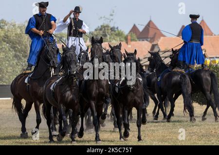 Csikos cowboys Hongrie Hortobagy Puzsta Europe tradition Banque D'Images