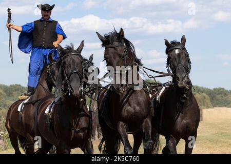 Csikos cowboys Hongrie Hortobagy Puzsta Europe tradition Banque D'Images