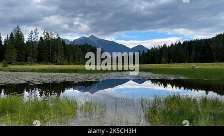 Vue sur Wildmoossee à Reither- et Seefelder Spitze, réflexion, panorama, randonnée, vélo, Nature, montagnes, ciel bleu, activité, Karwendelgebirge, Wettersteingebirge, Leutasch, Mösern, Reith, Scharnitz, Tirols Hochplateau, Seefeld, Tirol, Autriche Banque D'Images