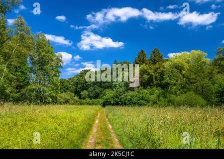 Allemagne, Bavière, Comté de Starnberg, Bachern am Wörthsee, Bacherner Moos Banque D'Images