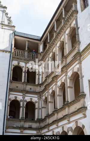 Château de Hobeck au Château de Leitzkau, siège de la Fondation culturelle Saxe-Anhalt, Leitzkau, Saxe-Anhalt, Allemagne Banque D'Images