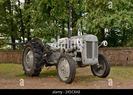 Un petit tracteur Massey Ferguson gris restauré est utilisé comme publicité pour l'Arran Cheese Shop, Écosse, Royaume-Uni Banque D'Images