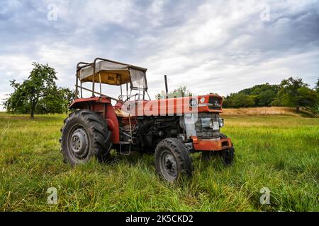 Breuberg, Hesse, Allemagne, tracteur Massey-Ferguson MF 165. Cylindrée 3325 cm3, 58 ch. Année de fabrication 1966 Banque D'Images