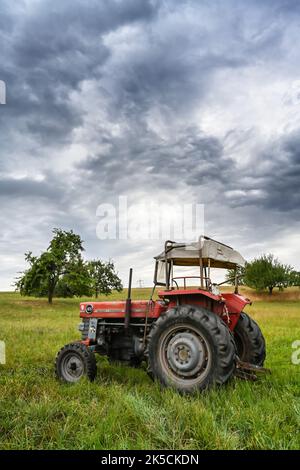 Breuberg, Hesse, Allemagne, tracteur Massey-Ferguson MF 165. Cylindrée 3325 cm3, 58 ch. Année de fabrication 1966 Banque D'Images