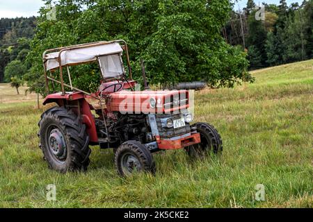 Breuberg, Hesse, Allemagne, tracteur Massey-Ferguson MF 165. Cylindrée 3325 cm3, 58 ch. Année de fabrication 1966 Banque D'Images