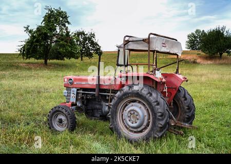 Breuberg, Hesse, Allemagne, tracteur Massey-Ferguson MF 165. Cylindrée 3325 cm3, 58 ch. Année de fabrication 1966 Banque D'Images