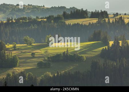 Europe, Pologne, petite Pologne, montagnes Tatra, Podhale, Vue de Bachledowka Banque D'Images