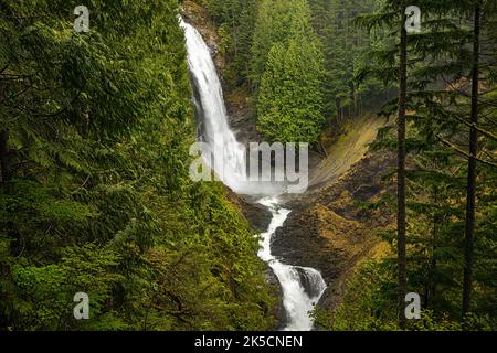 WA22161-00...WASHINGTON - Middle Wallace tombe au parc national de Wallace Falls dans le Gold Bar. Banque D'Images