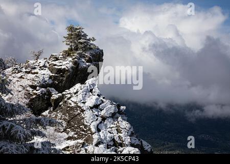 WA22176-00...WASHINGTON - arbre poussant sur un affleurement rocheux avec une vue sur la ville de North Bend depuis le Mont si. Banque D'Images