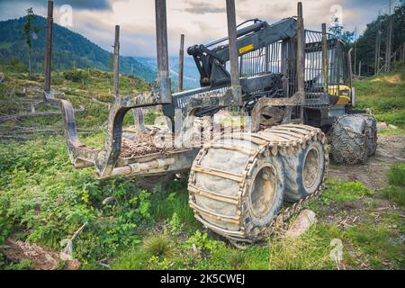 Italie, Vénétie, province de Belluno, Dolomites. Véhicule forestier de la récolteuse et du transitaire dans une forêt frappée par la tempête Vaia Banque D'Images