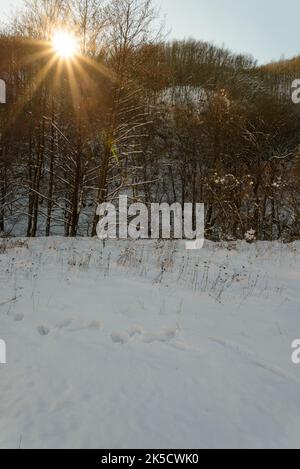 Scène tranquille en hiver dans un paysage urbain après la chute de neige Banque D'Images