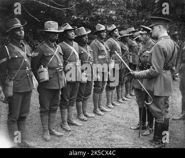 Les visites royales au front occidental, 1914-1918 Banque D'Images