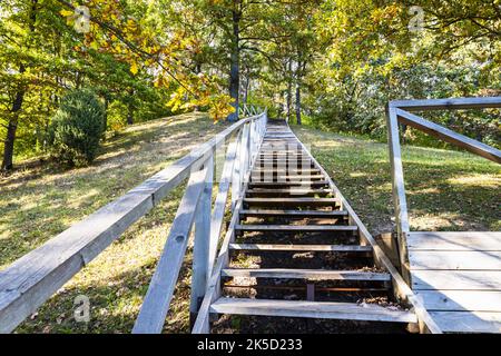 Escaliers en bois montant sur la colline et la forêt Banque D'Images