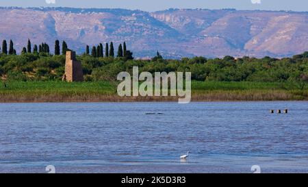 Italie, Sicile, côte est, sanctuaire d'oiseaux Vendicari, vue sur le lagon, héron unique, tour rectangulaire, arbres, végétation côtière, montagnes en arrière-plan Banque D'Images