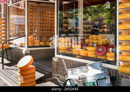 Pays-Bas, Edam, vieille ville, spui, magasin de fromage, fenêtre avec roues au fromage, décoration Banque D'Images