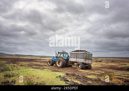 Bangor Erris, comté de Mayo, Irlande, 6-13-2019. Le gazon est récolté en Irlande du Nord-Ouest Banque D'Images