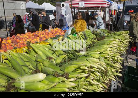 Récolte de fin d'été; maïs et pêches au Grand Army Plaza Farmers Market à Brooklyn, New York. Banque D'Images