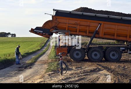 Lincent, Belgique. 07th octobre 2022. La récolte de pommes de terre à Racour, Lincent, vendredi 07 octobre 2022, montre une photo de drone aérienne. BELGA PHOTO ERIC LALMAND crédit: Belga News Agency/Alay Live News Banque D'Images