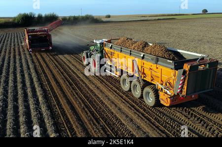 Lincent, Belgique. 07th octobre 2022. La récolte de pommes de terre à Racour, Lincent, vendredi 07 octobre 2022, montre une photo de drone aérienne. BELGA PHOTO ERIC LALMAND crédit: Belga News Agency/Alay Live News Banque D'Images