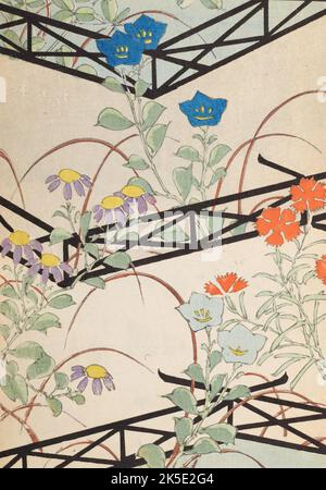 La langue japonaise Shin-Bijutsukai design magazine 1901-1902, a été édité par l'illustrateur et designer Korin Furuya (1875-1910) et contient les dessins des meilleurs artistes de l'époque. Peintre de Meji, Korin a enseigné à l'École municipale des arts et de l'artisanat, et a été l'un des plus importants designers d'impression de blocs de bois de l'époque. Une impression optimisée et améliorée de Shin-Bijutsukai Design Magazine, Volume 1. Banque D'Images