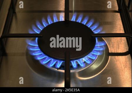 Un seul anneau d'une table de cuisson à gaz allumée avec des flammes bleues Banque D'Images