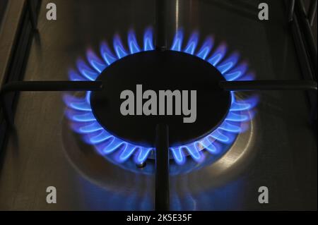 Un seul anneau d'une table de cuisson à gaz allumée avec des flammes bleues Banque D'Images