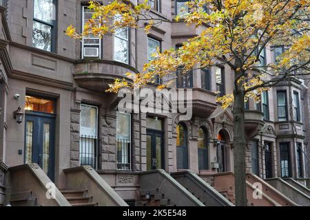 Rue résidentielle de New York avec bâtiments en grès brun et chêne à la couleur de l'automne Banque D'Images