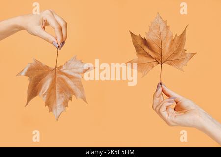 Un concept saisonnier intéressant et dynamique. Deux belles mains femelles tiennent une feuille d'arbre ocre sèche dans différentes positions - vers le haut et vers le bas. Automne Banque D'Images